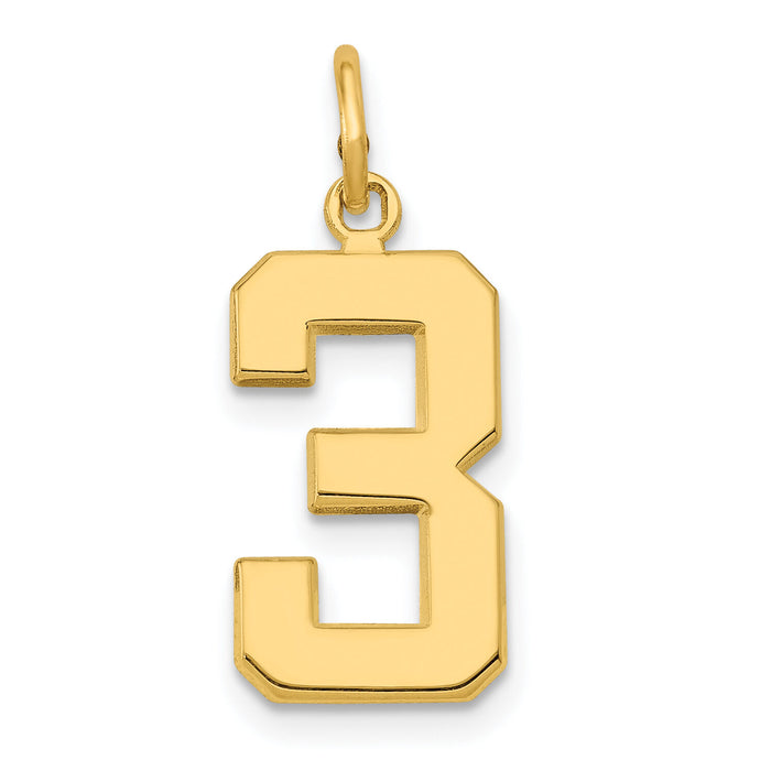 14k Medium Polished Number 3 Charm-MP03