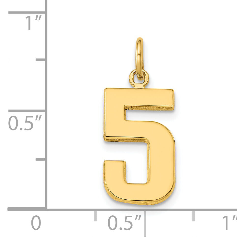 14k Medium Polished Number 5 Charm-MP05