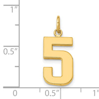 14k Medium Polished Number 5 Charm-MP05