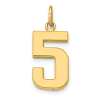 14k Medium Polished Number 5 Charm-MP05
