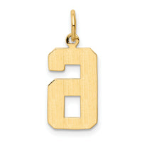 14k Medium Polished Number 6 Charm-MP06