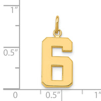 14k Medium Polished Number 6 Charm-MP06