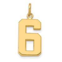 14k Medium Polished Number 6 Charm-MP06