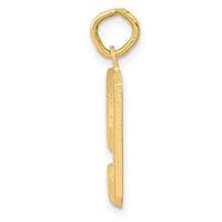 14k Medium Polished Number 9 Charm-MP09