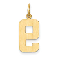 14k Medium Polished Number 9 Charm-MP09
