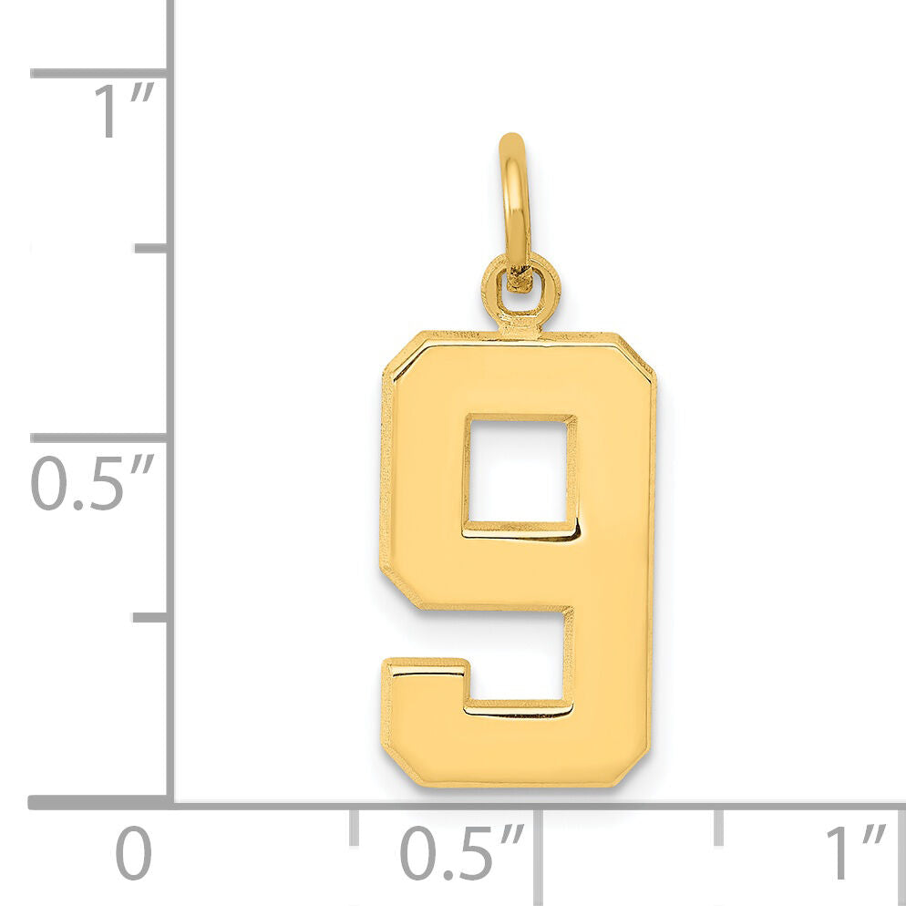 14k Medium Polished Number 9 Charm-MP09