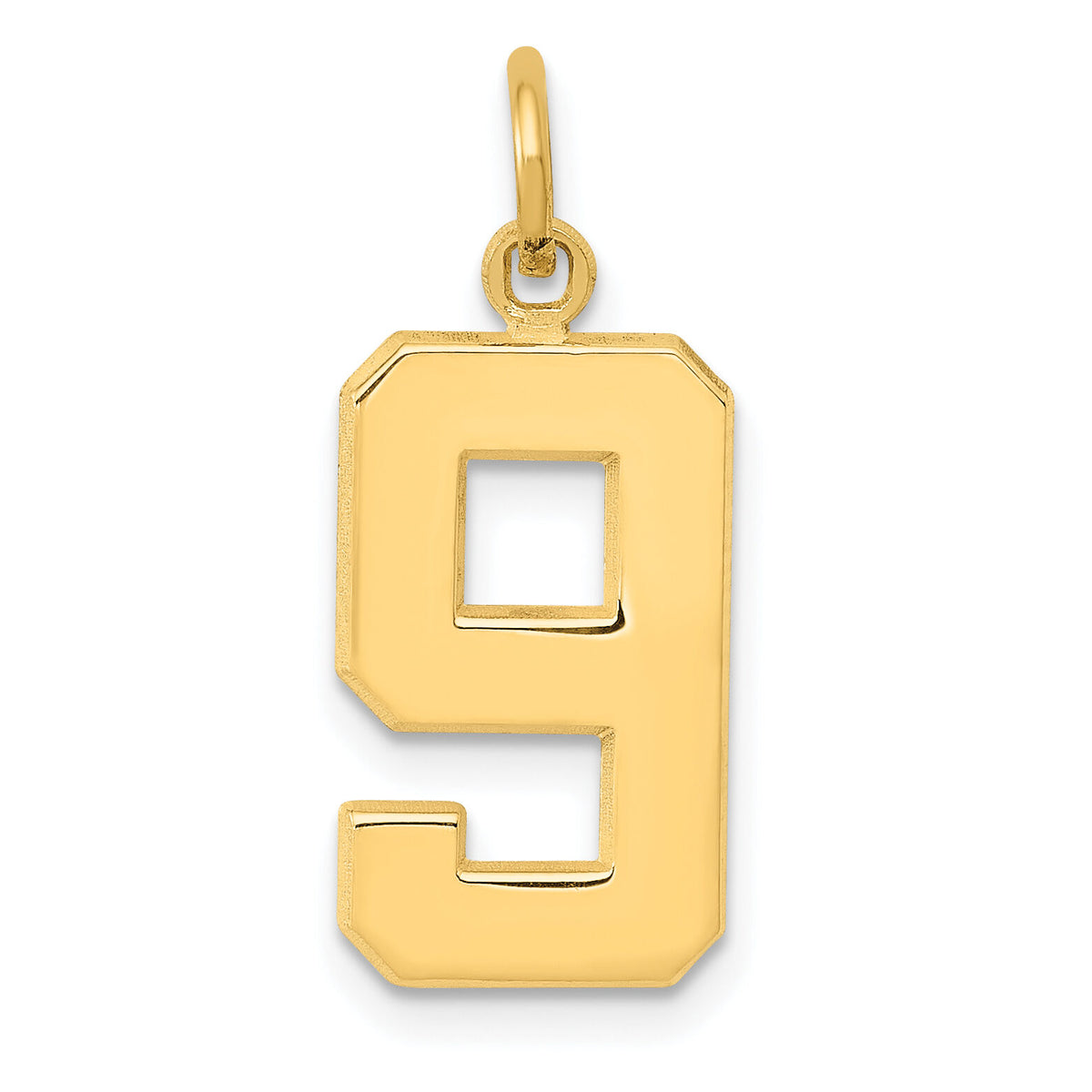 14k Medium Polished Number 9 Charm-MP09