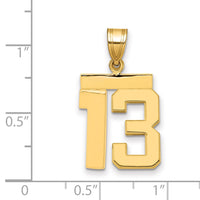 14k Medium Polished Number 13 Charm-MP13