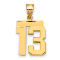 14k Medium Polished Number 13 Charm-MP13