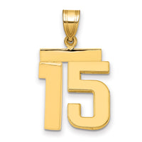 14k Medium Polished Number 15 Charm-MP15