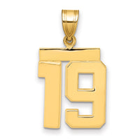 14k Medium Polished Number 19 Charm-MP19