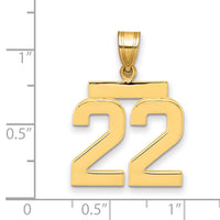 14k Medium Polished Number 22 Charm-MP22