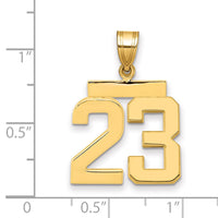14k Medium Polished Number 23 Charm-MP23