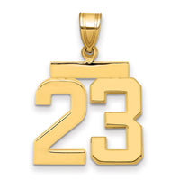 14k Medium Polished Number 23 Charm-MP23