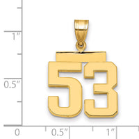 14k Medium Polished Number 53 Charm-MP53