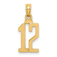 14k Polished Number 12 Pendant-NU12