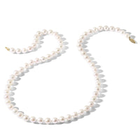 14k 8-9mm Round White Saltwater Akoya Cultured Pearl Necklace-PL80AA-20
