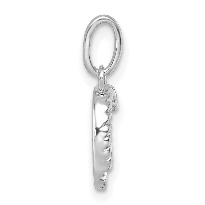 14k White Gold Twisted with .05 ct. Diamond Initial C Charm-PM10732C-WA