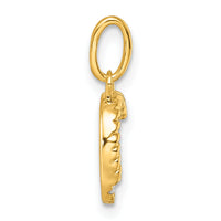 14k Twisted with .05 ct. Diamond Initial C Charm-PM10732C-YA