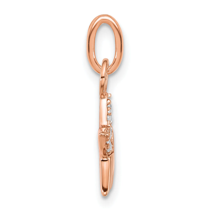 14K Rose Gold Polished Diamond Star Charm-PM10769-010-RAA