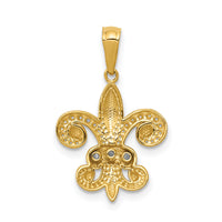 14k w/Rhodium Polished Diamond Fleur de Lis Pendant-PM5155-003-YA