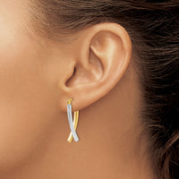 14K Two-tone Hinged Tube Earrings-PRE339