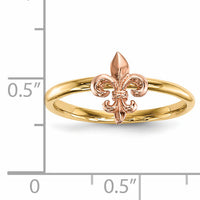 14k Two-tone Polished Fleur de Lis Ring-R623