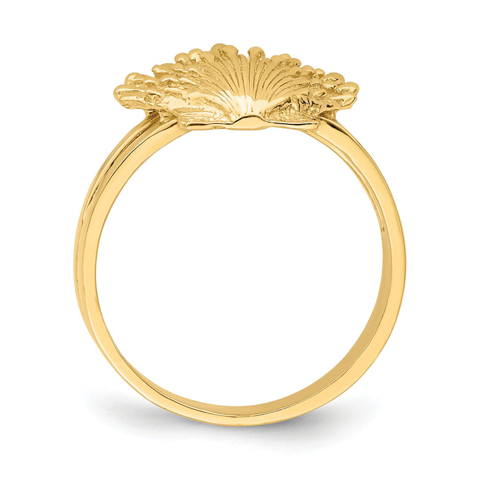 14K Lion's Paw Shell Ring-R678