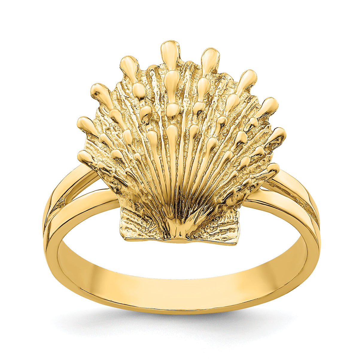 14K Lion's Paw Shell Ring-R678