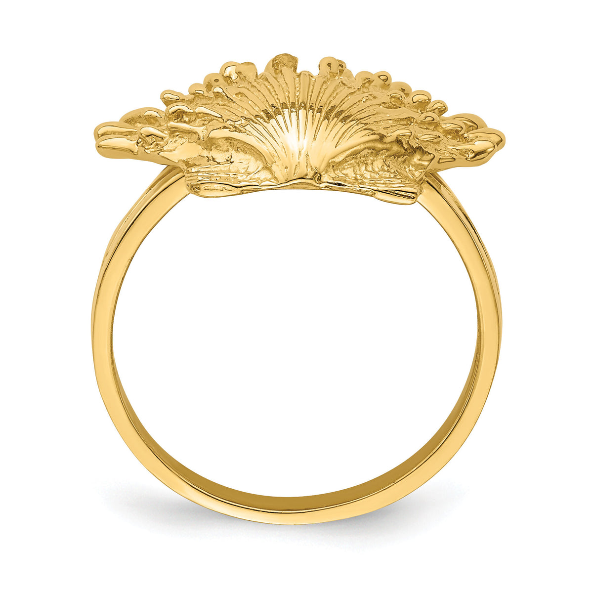 14K Lion's Paw Shell Ring-R679