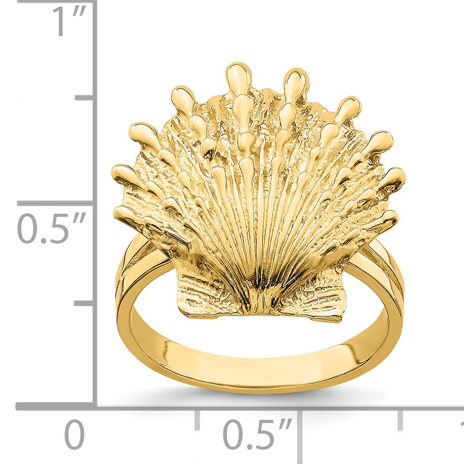 14K Lion's Paw Shell Ring-R679