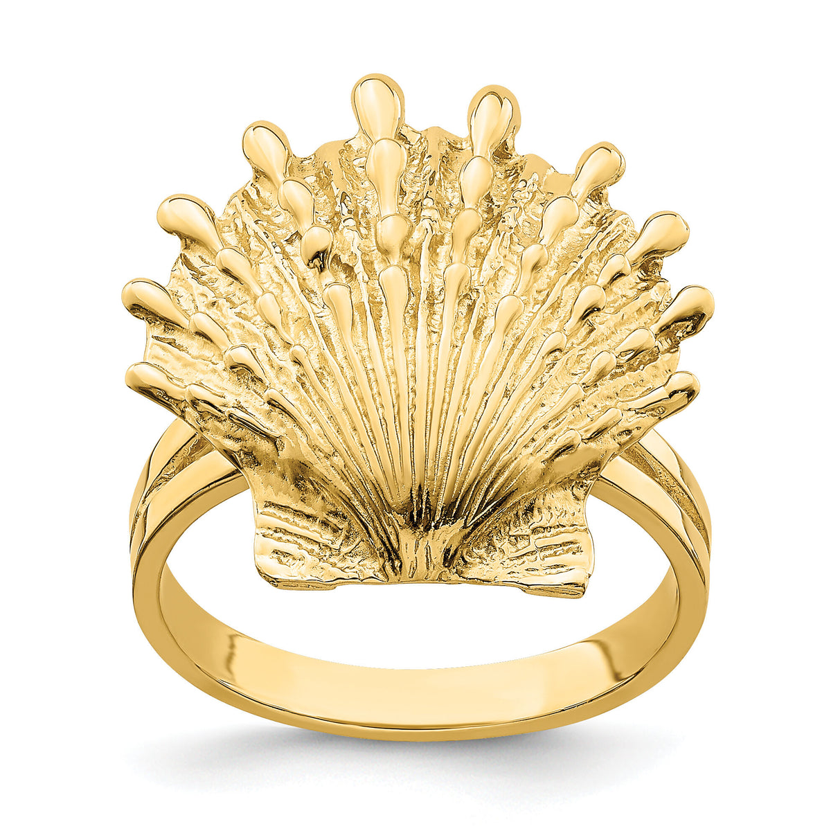 14K Lion's Paw Shell Ring-R679