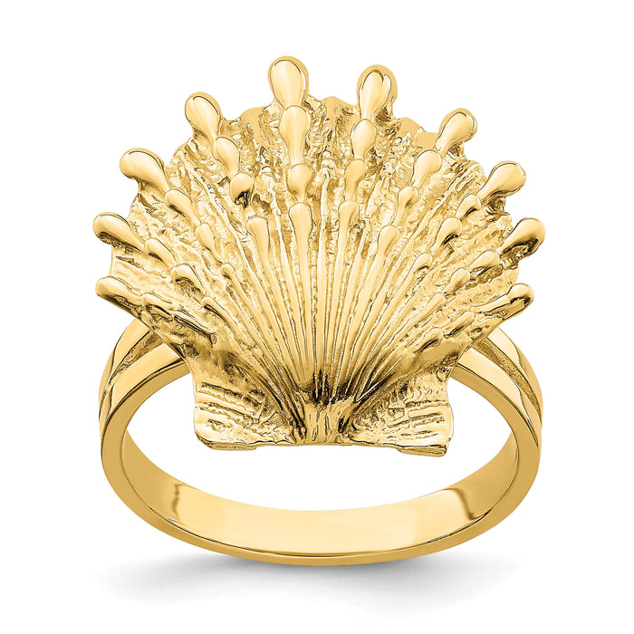 14K Lion's Paw Shell Ring-R679