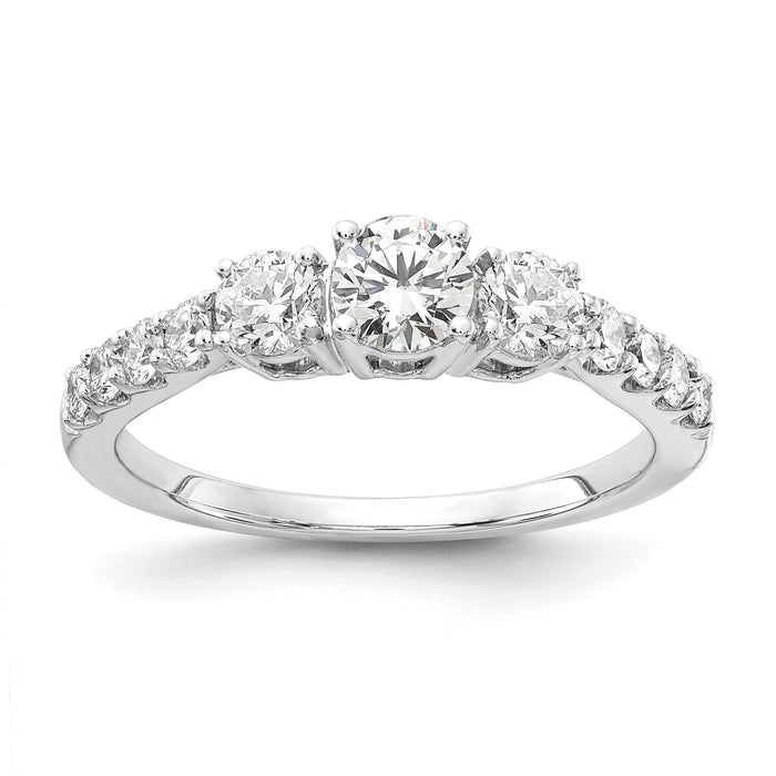 14kw 1ct Lab Grown Diamond VS+ F+ Round Comp 3 Stone Eng Ring-RM4228-100-WLD