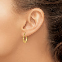 14k Polished Bamboo Design Hollow Hoop Earrings-S824