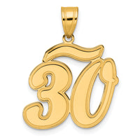 14k Brushed  Border Script Number 30 Pendant-SCN30