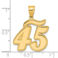 14k Brushed Border Script Number 45 Pendant-SCN45