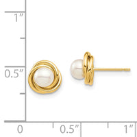 14K Madi K 4-5mm White Button Freshwater Cultured Pearl Post Earrings-SE2963