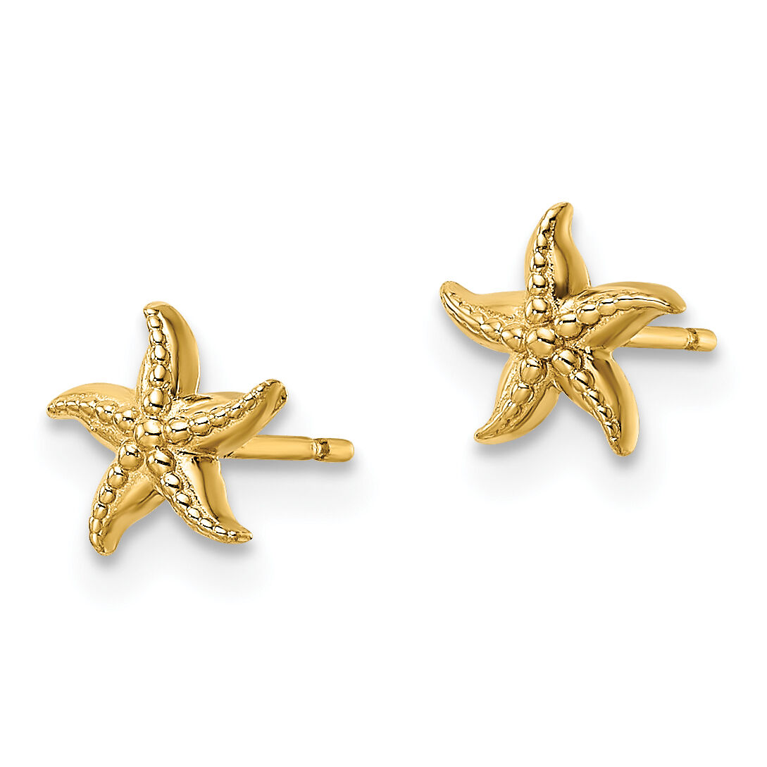 14k Madi K Starfish Post Earrings-SE3017