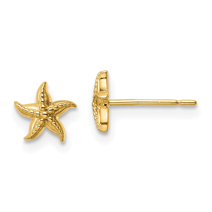 14k Madi K Starfish Post Earrings-SE3017