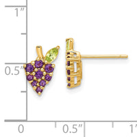14K Gold Amethyst and Peridot Grapes Post Earrings-SF3069E