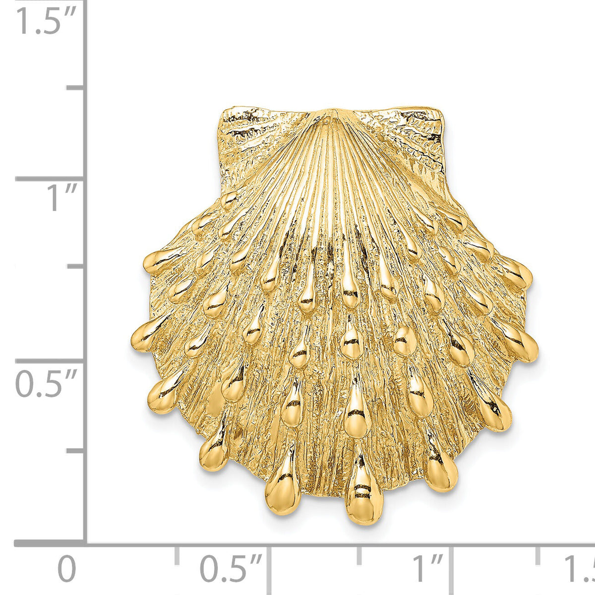 14K Lion's Paw Shell Slide-SL604