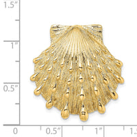 14K Lion's Paw Shell Slide-SL604