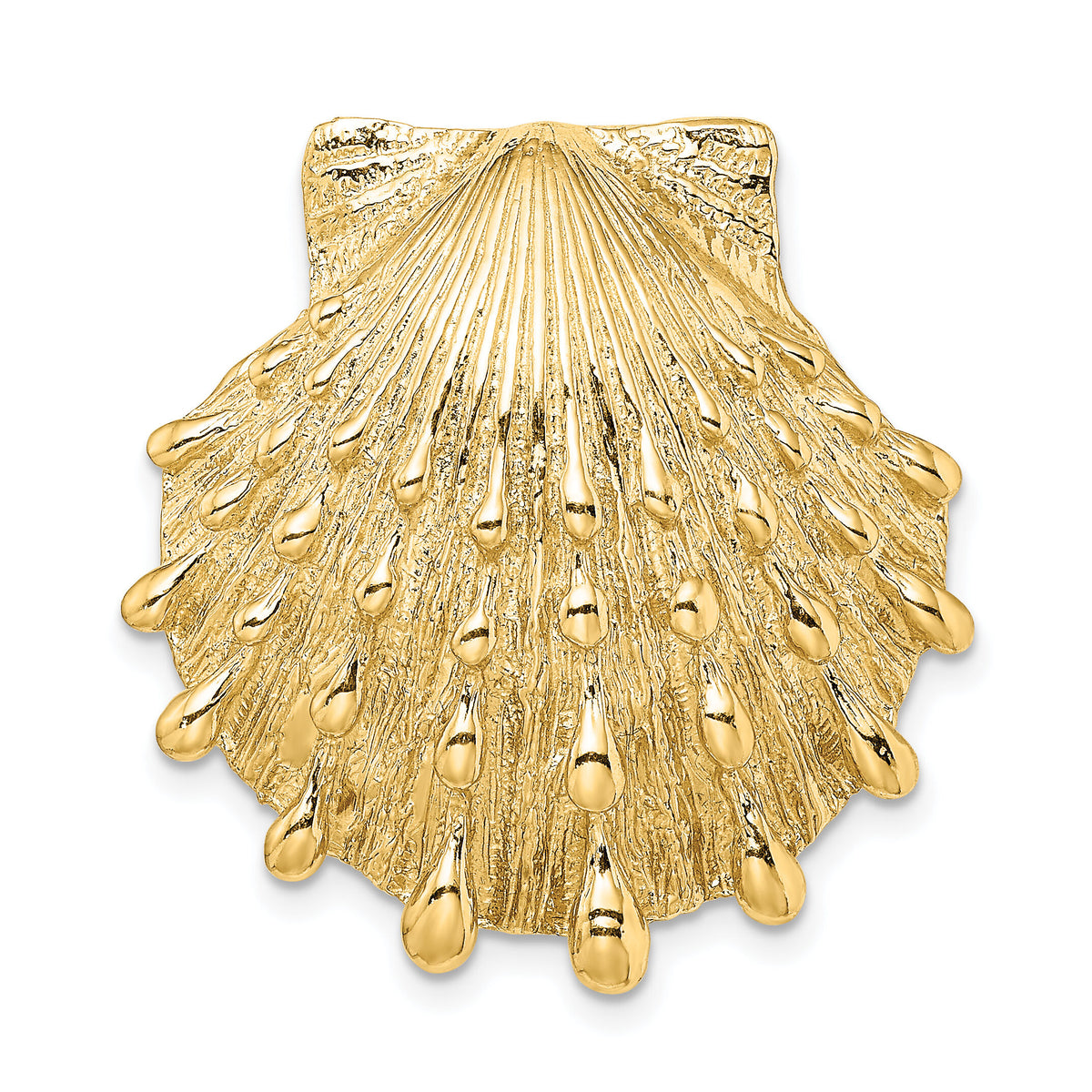 14K Lion's Paw Shell Slide-SL604