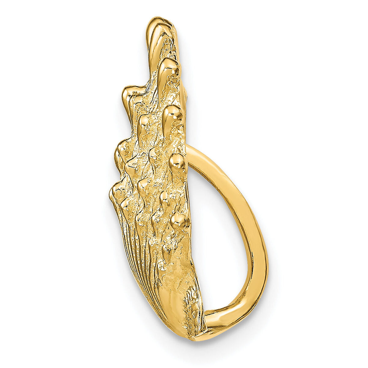 14k Lion's Paw Shell Slide-SL606