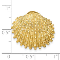 14k Scallop Shell Slide-SL614