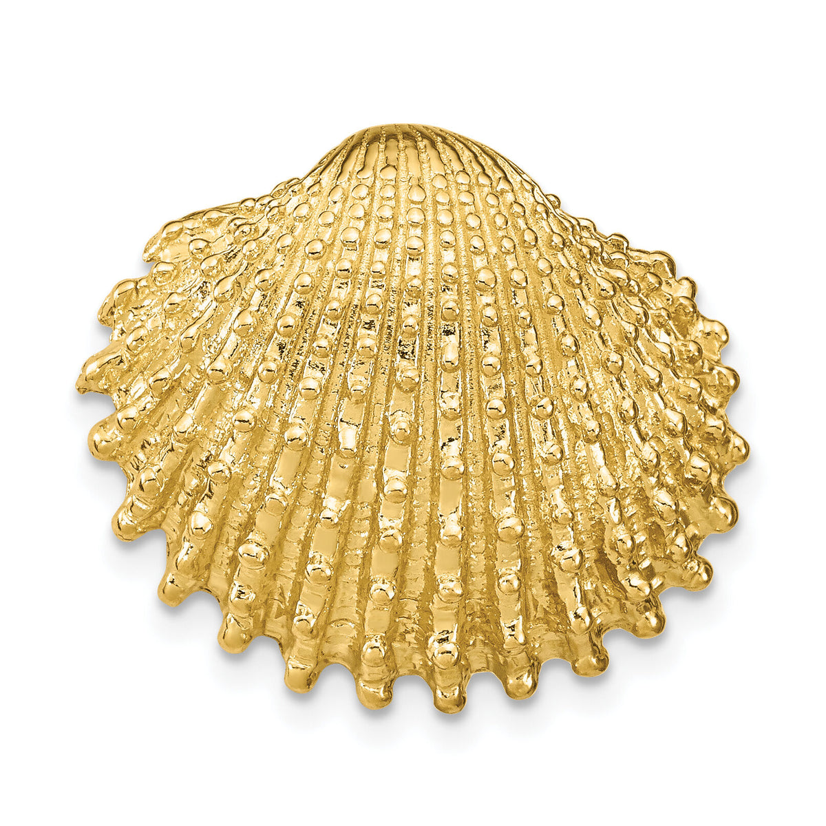 14k Scallop Shell Slide-SL614