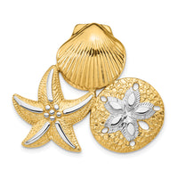 14k with White Rhodium Scallop, Starfish and Sand Dollar Slide-SL632
