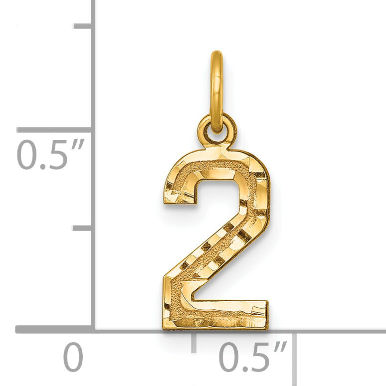 14k Small Brushed Diamond-cut Number 2 Charm-SN02