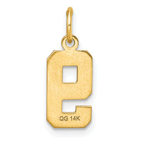 14k Small Brushed Diamond-cut Number 9 Charm-SN09
